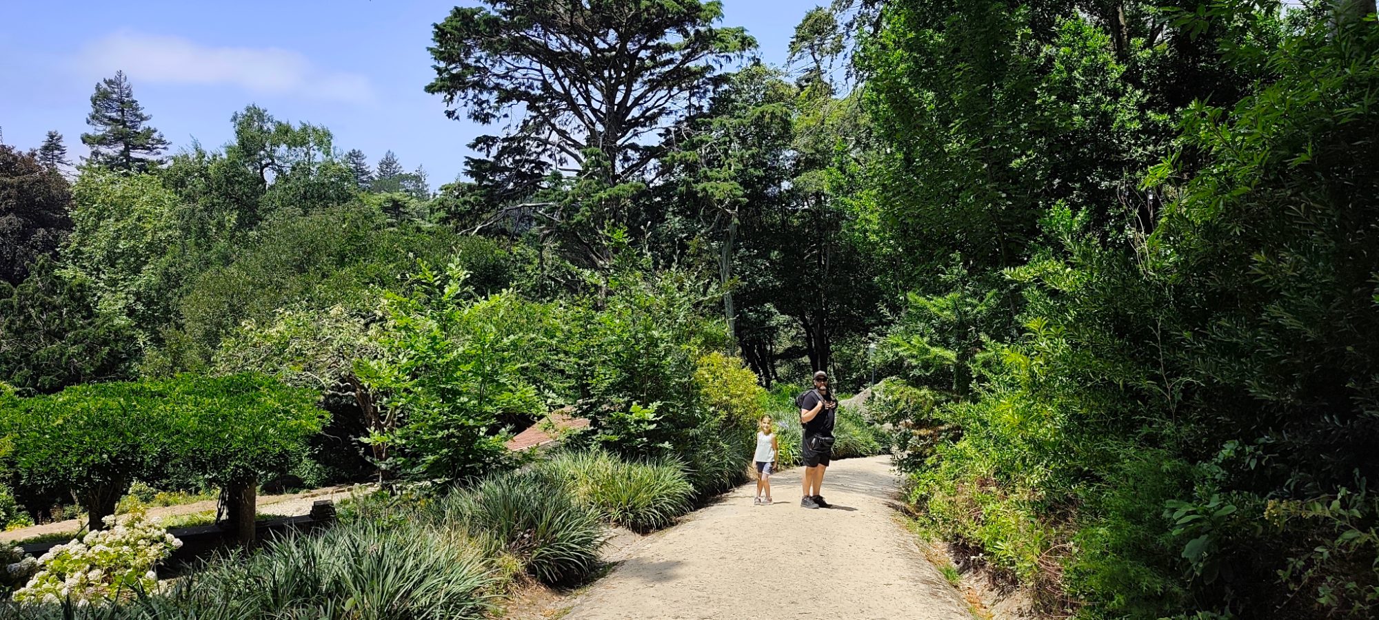 JOURNEE A SINTRA — photo 14