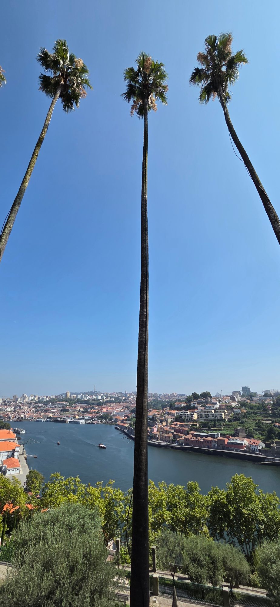2ème jour à PORTO — photo 14